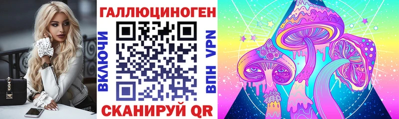 купить наркотик  гидра tor  Псилоцибиновые грибы мухоморы  Эртиль 